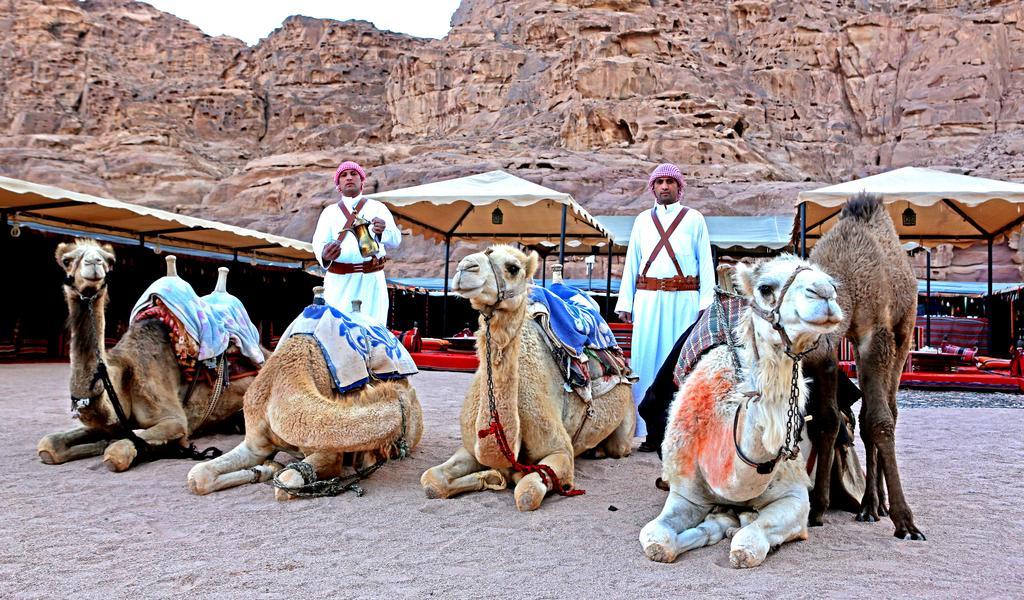 Sun City Camp Hotel Wadi Rum Exterior foto