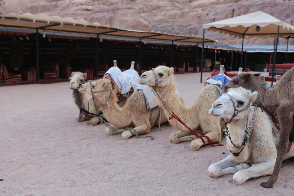 Sun City Camp Hotel Wadi Rum Exterior foto